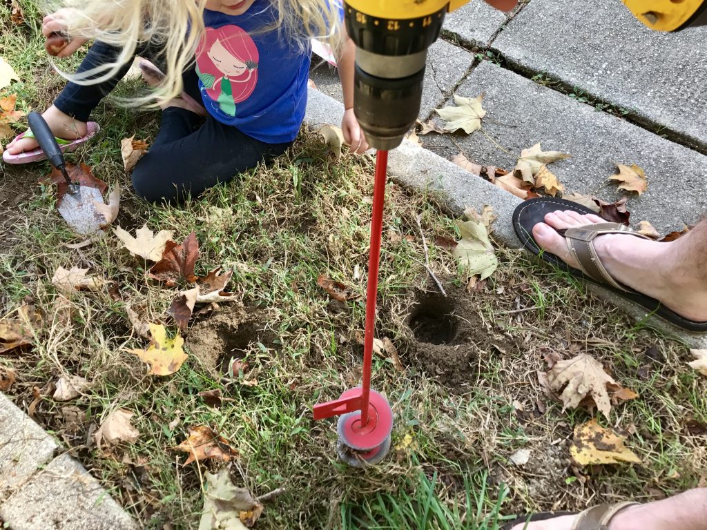 Bulb auger in use